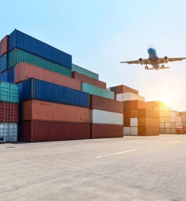 Domestic & International Shipping